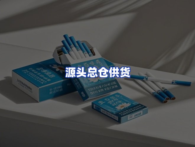专业团队